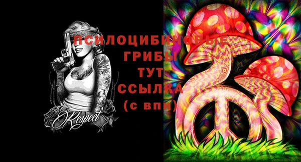 спайс Заволжск