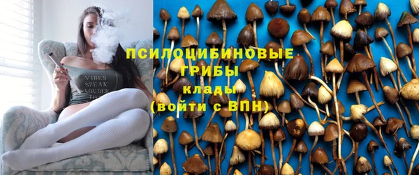 ALPHA-PVP Заводоуковск