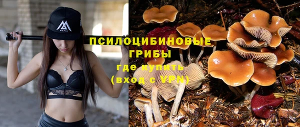 ALPHA-PVP Заводоуковск