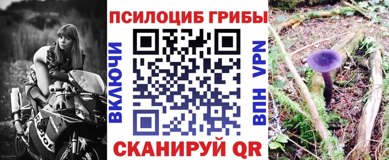 Галлюциногенные грибы Psilocybine cubensis  Купить  Кингисепп 