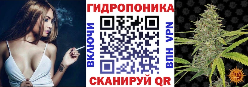 Шишки марихуана VHQ Купить Кингисепп